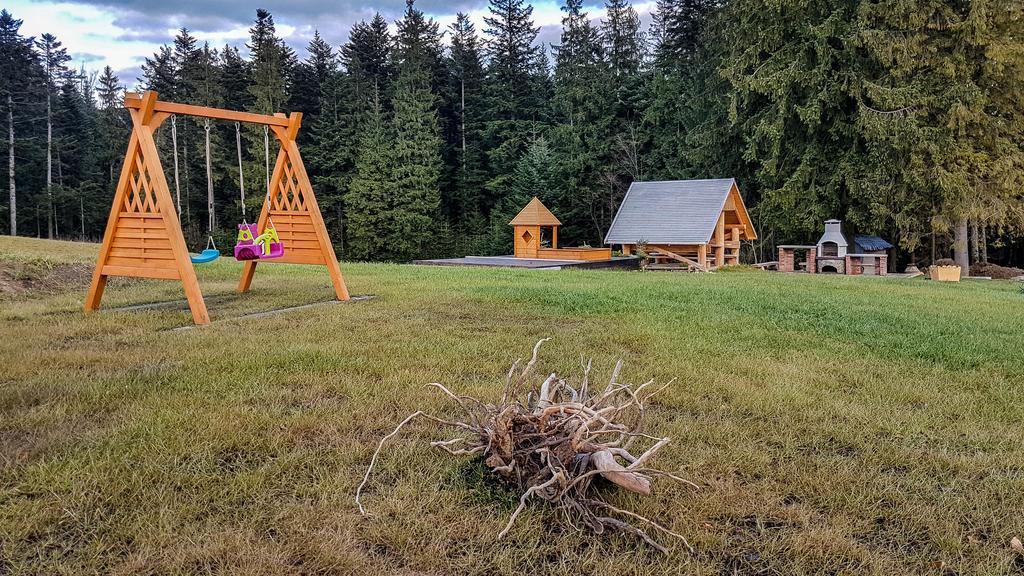 Apartamenty Polana Sywarne Zakopane 考斯赛力克 外观 照片