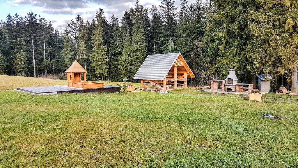 Apartamenty Polana Sywarne Zakopane 考斯赛力克 外观 照片