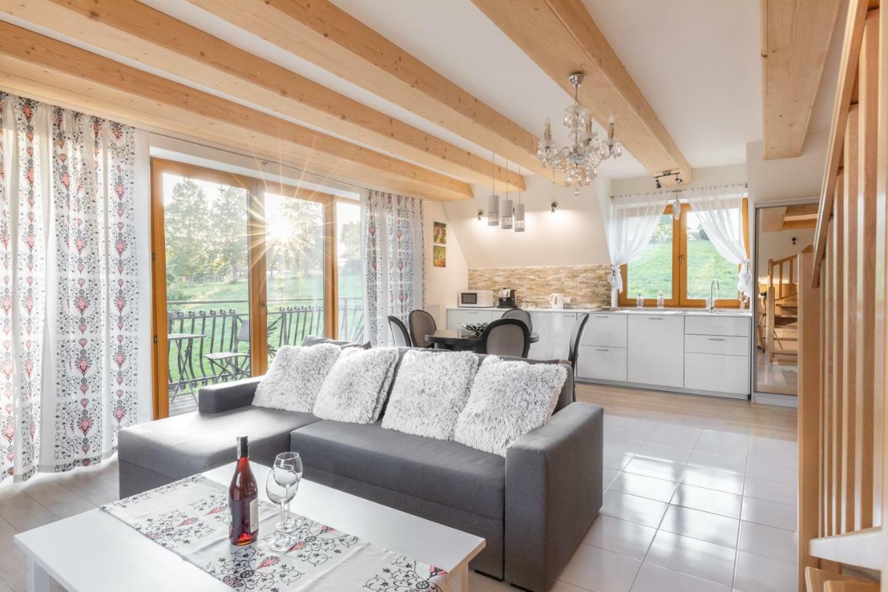 Apartamenty Polana Sywarne Zakopane 考斯赛力克 外观 照片